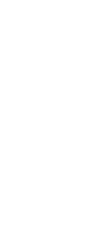 初辰まいり